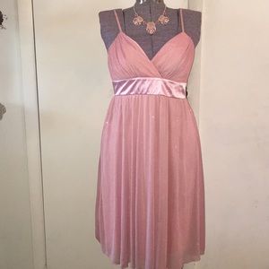 🎊PRICE DROP 🎊 New Shimmery Dress🎁